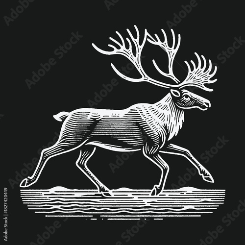 Vintage Engraving Style Reindeer with Large Antlers Walking.