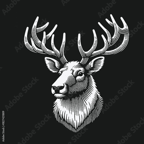 Majestic Stag Head Illustration in Engraving Style.