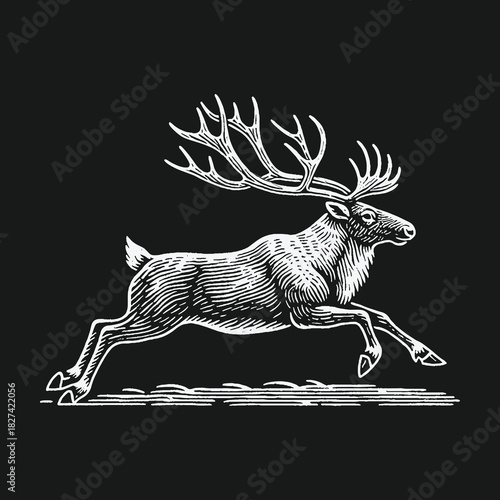 Vintage engraving style illustration of a running reindeer.