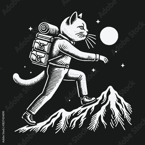 Adventurous cat hiker with a backpack climbs a mountain at night.