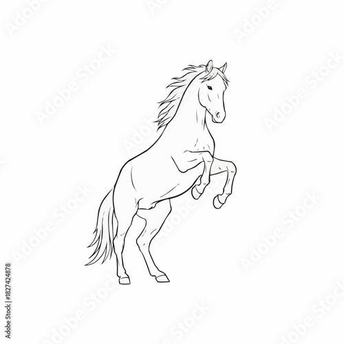 A majestic horse rearing up on its hind legs in a powerful display of energy and freedom.