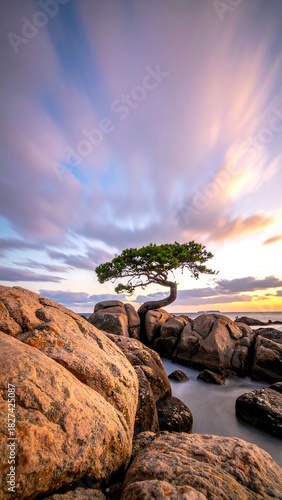 Lone tree perched on a rocky shore beneath a colorful, streaked sky