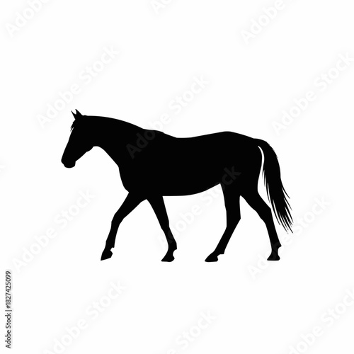 Silhouette of a majestic horse gracefully walking across a white background.