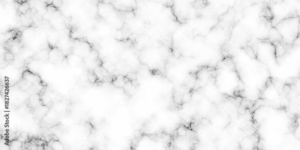 Fototapeta premium White and black background rock closeup limestone marble glossy wall, floor tiles slab natural surface limestone marble texture. granite luxury stone smooth polish rough texture.