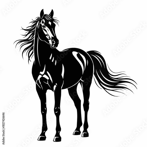 Elegant Black Horse Silhouette - A Majestic Equine Portrait.