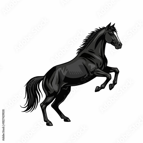 Powerful black stallion rearing up in a majestic pose isolated on white.
