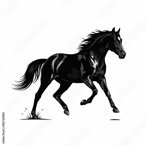 Elegant black horse galloping gracefully across a pristine white background.