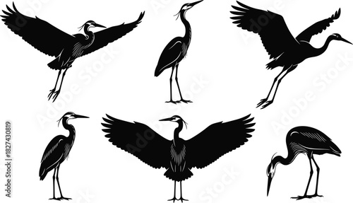Set of heron silhouettes, flying and standing cranes, black vector bird illustrations, isolated on white background, wildlife collection.