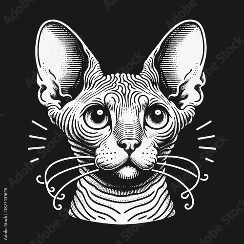 Detailed Engraved Illustration of a Sphynx Cat Head.
