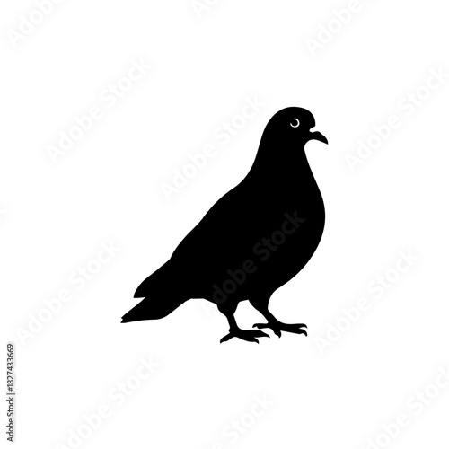 Silhouette of a Pigeon A Simple, Clean Black and White Illustration or Icon