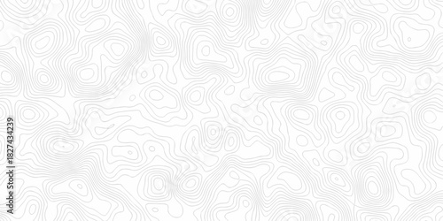 Vector topography paper lines. Topographic contour. lines grid map seamless pattern. Geographic mountain relief lines background.	