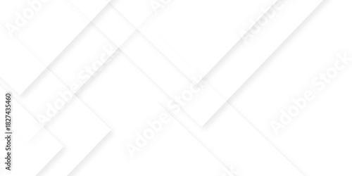 Vector minimal tech gradient white, gray creative triangle geometric technology space. rectangle randomly arranged white line background. paper web overlap presentation design.	