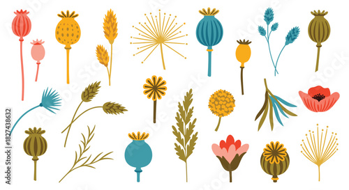 Set of stylized dried flowers, poppy seed heads, and wheat ears in a colorful, modern folk art style for botanical designs.