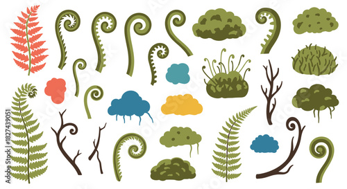 Beautiful collection of forest botanical elements, including ferns, fiddleheads, moss, and branches for nature-themed designs.