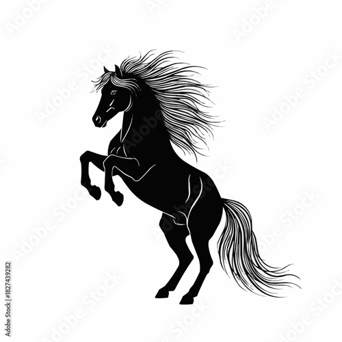 Majestic Black Horse Rearing Up Wildly.