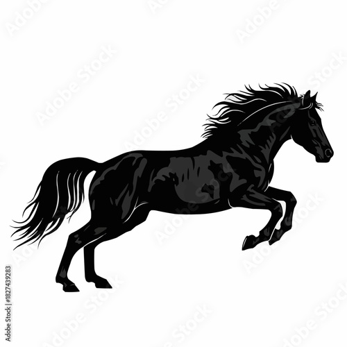 Majestic black stallion rearing up with a flowing mane.