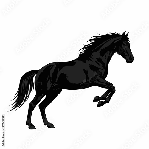 Powerful black horse rearing up on its hind legs illustration.