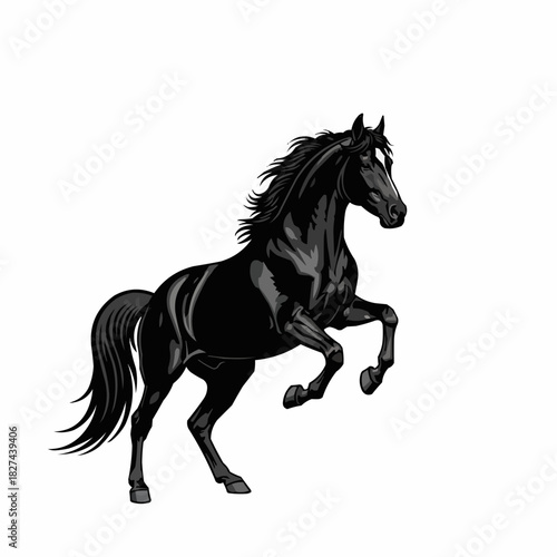 Majestic Black Stallion Rearing Up Proudly.