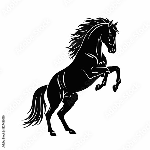 Majestic Black Horse Rearing Up on Hind Legs.