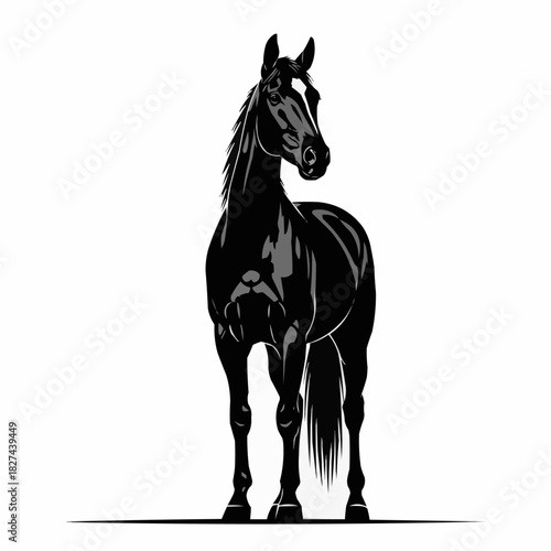 Elegant Black Horse Standing Proudly Against a White Backdrop.