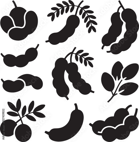 Minimalist Tamarind Pods and Leaves Vector Illustration on White Background