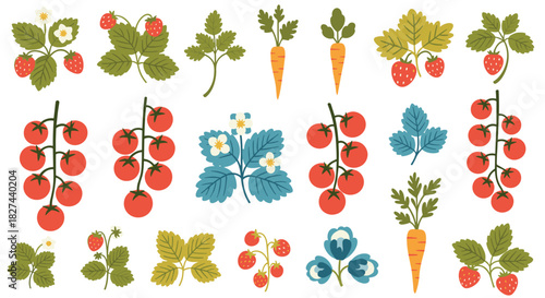 Charming collection of garden vegetables and fruits, including tomatoes, strawberries, and carrots, in a folk art vector style.