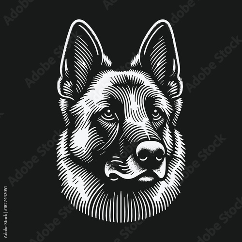 Monochrome engraved portrait of a noble German Shepherd dog.