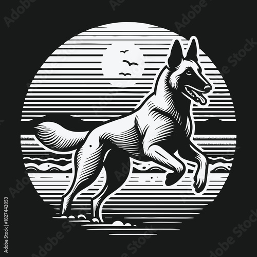 Black and white graphic illustration of a running Belgian Malinois dog.