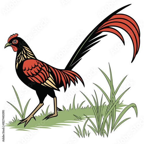 Cartoon Detailed Chicken Rooster with Long Tail Standing on Grass