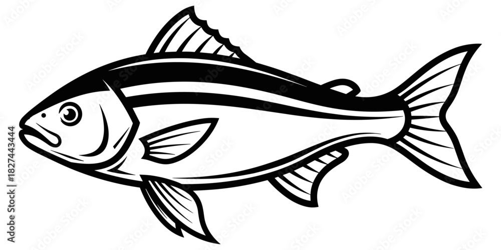 Fototapeta premium Stylized fish illustration, black and white line art with stripes and forked tail, bold aquatic animal drawing