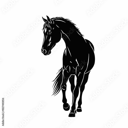 Majestic Black Horse Silhouette Gracefully Striding Forward.