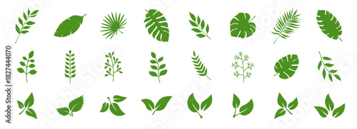 Leaves of trees and plants. Tropical leaves. Set of green leaf icons. Leaves on white background. Ecology. Vector illustration.