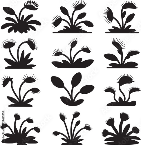 Silhouette Collection of Venus Flytrap Plants on White Background Illustration