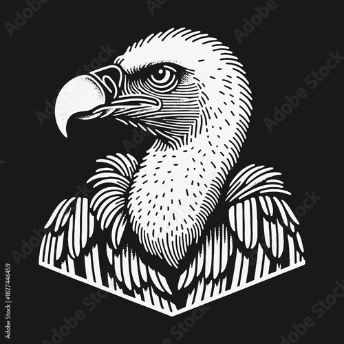 Black and white vulture head in a graphic engraving style.