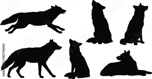 Black wolf silhouette collection isolated on white background, wild animal vector illustration, howling wolf pose design for nature art