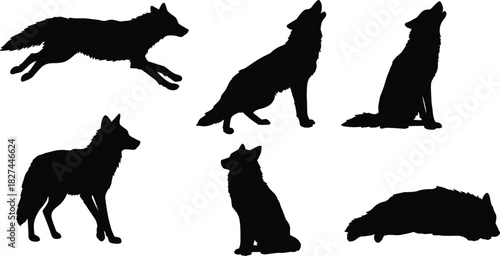 Black wolf silhouette collection isolated on white background, wild forest animal vector illustration, howling running wolf design art wildlife