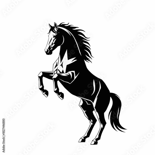 Majestic black horse rearing up in a powerful silhouette.