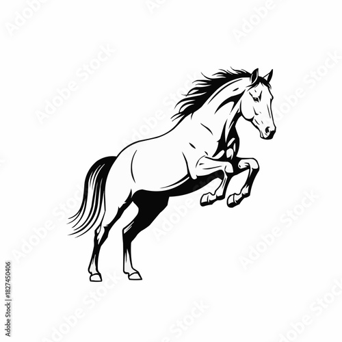 Majestic Horse Rearing Up in Dynamic Pose.