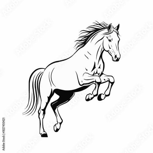 Dynamic Horse Illustration - Rearing Stallion in Black and White.