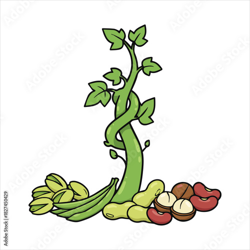 Green beanstalk with fresh nuts, beans, and healthy legumes food Art & Illustration