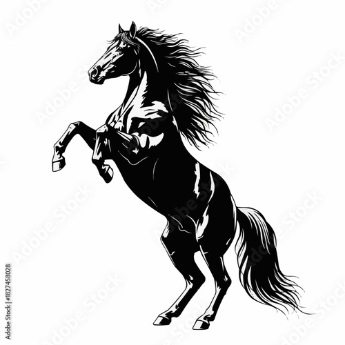 Majestic Black Horse Rearing Upward with Flowing Mane and Tail.