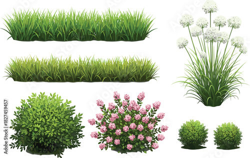 Botanical plant sketch, cad drawing, flat vector illustration, grass texture, flowering shrub, foliage variety, garden design, landscape element