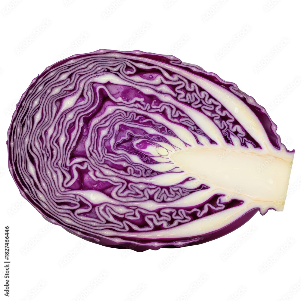 Obraz premium Cross section of fresh purple red cabbage half showing texture on transparent background