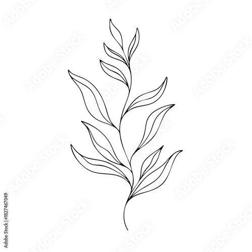 Minimalist line drawing of a leafy branch with multiple leaves on a white background in a simple, elegant style.