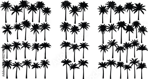 Collection of Black Palm Tree Silhouettes on a White Background tropical nature