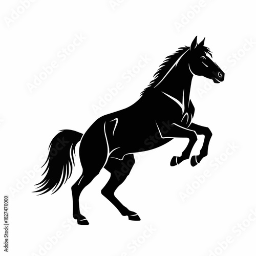 Majestic black horse rearing up in silhouette against white background.