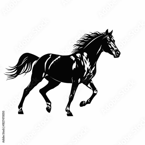Elegant Black Horse Galloping with Flowing Mane and Tail.