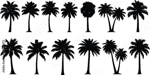 Extensive Collection of Palm Tree Silhouettes in Two Rows on White tropical nature