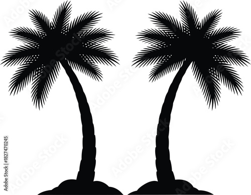 Two Silhouetted Palm Trees Standing Together on a White Background tropical nature