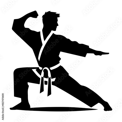 Karate Silhouette: A Powerful Martial Arts Pose.